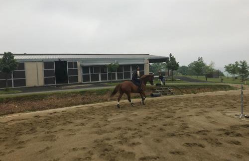 Logement entier de charme, gite équestre GERS Flamarens - Foto 43