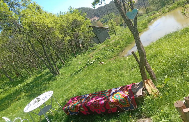 Room in Guest Room - Idylic Family Sejour With Hottube in Green Land - Photo 39