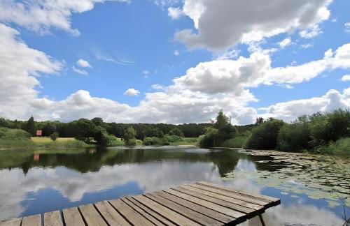 Zur Schwalbe - Photo 40