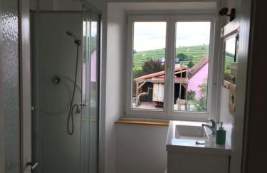 gîtes au domaine Greiner - Foto 23