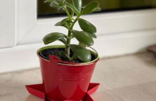 Smart Station Design Apartment Central - Photo 39