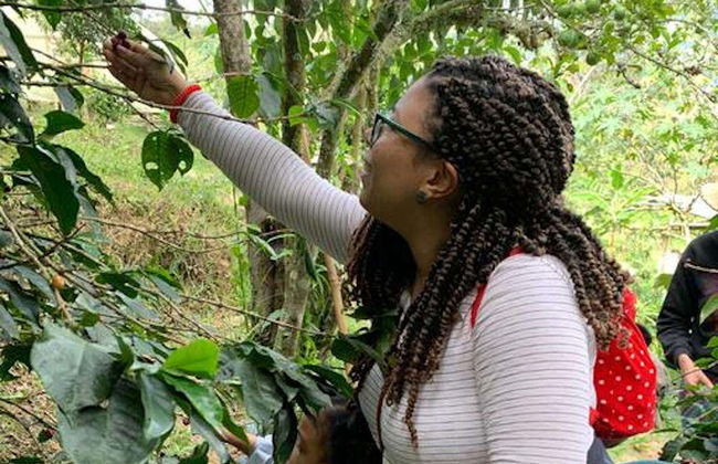 Bogotá Coffee Farm Trip - Photo 3