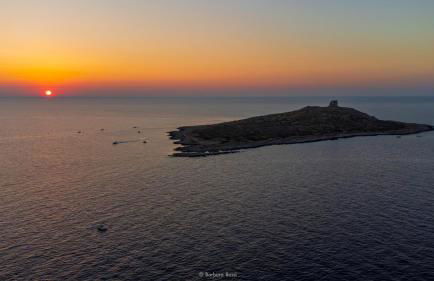 Cavalluccio Marino Holiday - Foto 39