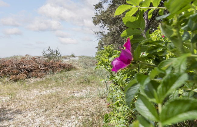 "Friis" - 200m from the sea - Foto 24