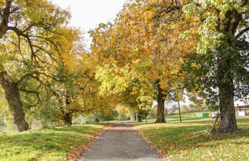 Conkers' Cottage - Photo 24