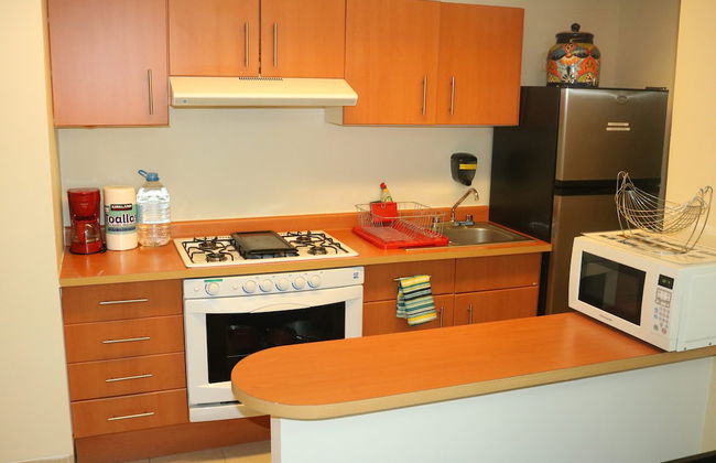 Puerta Alameda Suites - Foto 72