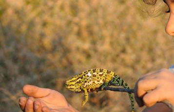 Luna Moruna - Foto 15