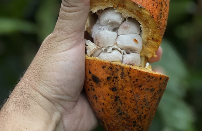 HACIENDA ILUMINADA ECO RETREAT - Foto 30