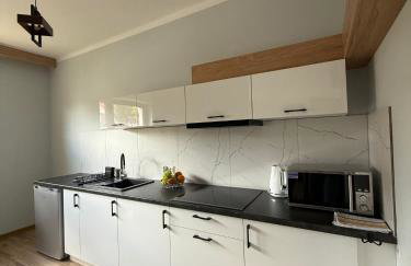 Apartamenty Wadowity- Energylandia Zator - Foto 6