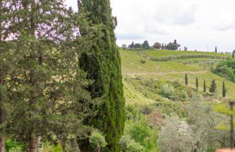 Agriturismo Montemagni di Sopra - Foto 4