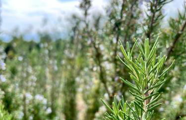 Borgo del Sole - Foto 60