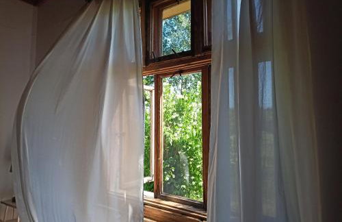 Butterfly Factory - Foto 17