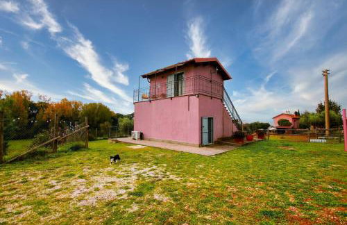 piccolo casale a "le Moline" in una vera fattoria - Foto 33