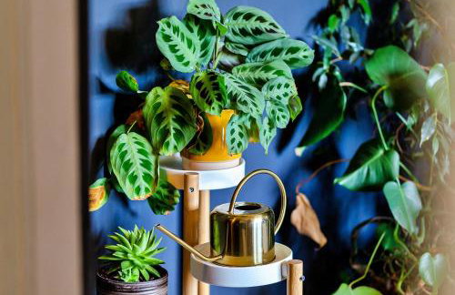 Finest Retreats - Cresswell House - Foto 11