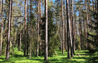 Osada Wejsuny - Foto 77