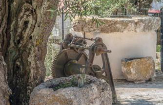 Sempreviva - Foto 45