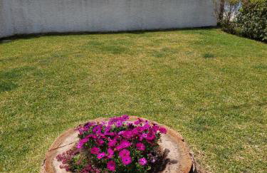 Platanidia Apartment Pelion - Foto 12