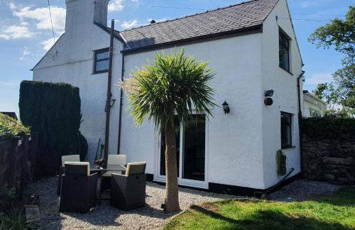 Green Cottage - Snowdonia - Foto 94