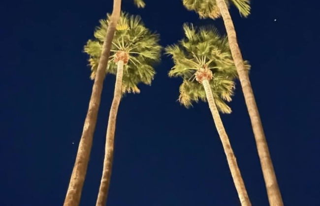 Four Palms in Deepwell Estates - Photo 43