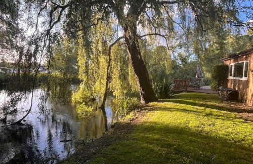 Riverside Studio - Foto 30