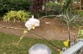 Lakeview Retreat - Foto 34