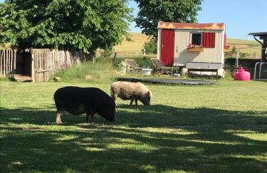 Landhof Lieg - Tierische Auszeit in unseren gemütlichen Ferienwohnungen - Foto 6