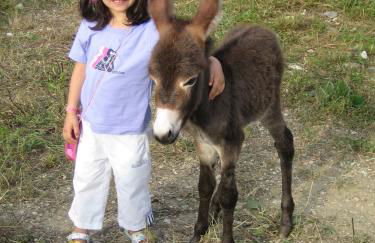 Agriturismo Il Casale - Foto 43