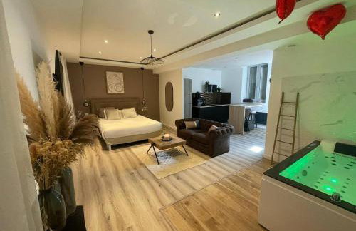 L'Eden Spa - Jacuzzi - Saint-Etienne - Foto 17