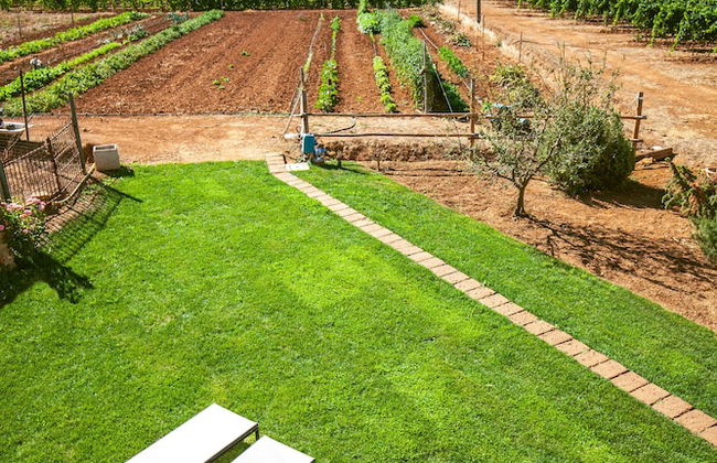 Poggiolivi Agriturismo Bio in Maremma - Photo 55