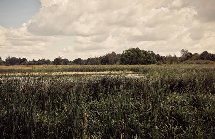 Masuria Warsaw - dom na wyłączność - w lesie i przy rzece - 15 min od Warszawy - Foto 58