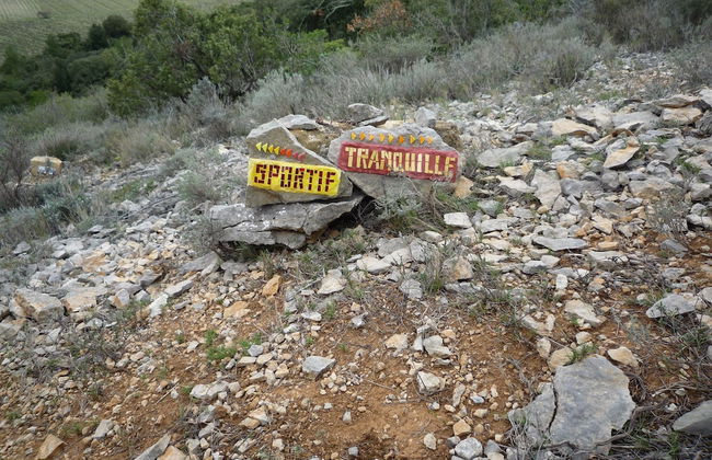 Le Gîte Vigneron - Foto 17