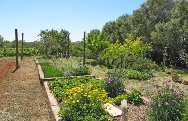 Moli de Son Vidal - Foto 52