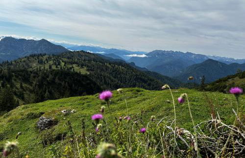Landhaus Renata Bayrischzell - Foto 71