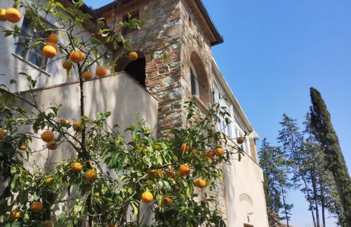 Marrucheto - Foto 46