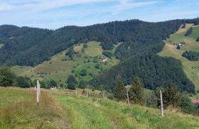 Traumurlaub in Sicht! 77qm Familiendomizil - Foto 27