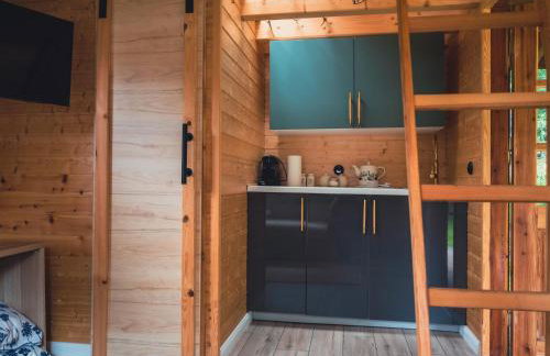 Large Holiday Villa With Sauna, Jacuzzi and Pool - Foto 68