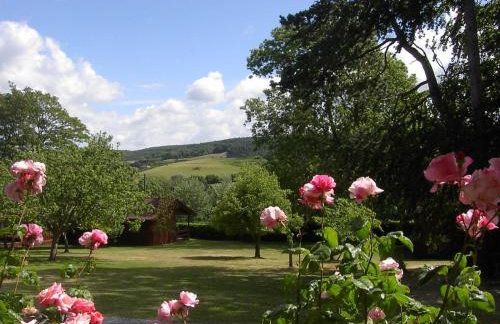 Cedar Lodge - Foto 1