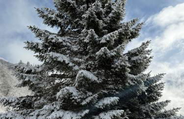 ISKÖ CHALETS-HÖTEL, Col d'Aubisque - Foto 140