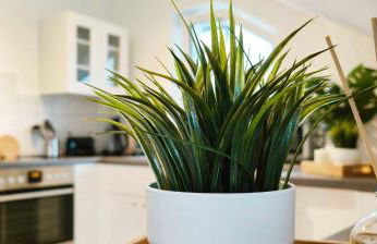 Chic Apartments in Altenstadt - Foto 26