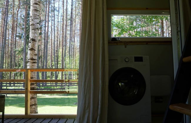 Metai Miške&a Year in the Forest - Photo 13