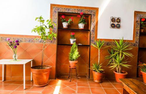 SEÑORÍO de MARÍN piscina climatizada exterior - Foto 10