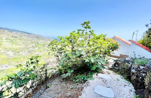 Mar a Vista by Your Madeira Rentals - Photo 29