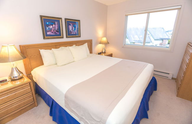 The Grey Gull - Foto 58