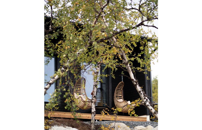 Saanan helmi - Photo 16