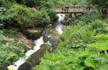 MY HOME N 35/2 - Foto 22