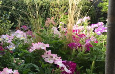 Norburton Hall Cottages - Photo 17