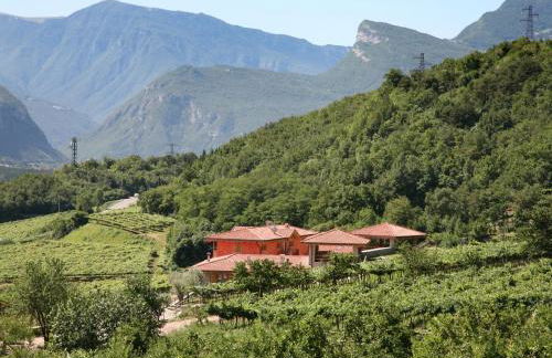 Maso Fiorini - Photo 58