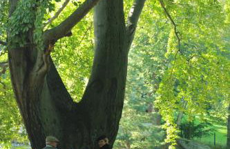 Za Siódmą Górą - Foto 69