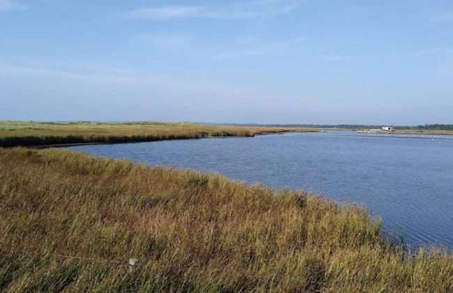 6 Person Holiday Home in Hojby - Photo 36