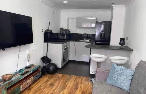 Dollis Hill One Bedroom Apartment NW2 - Foto 4